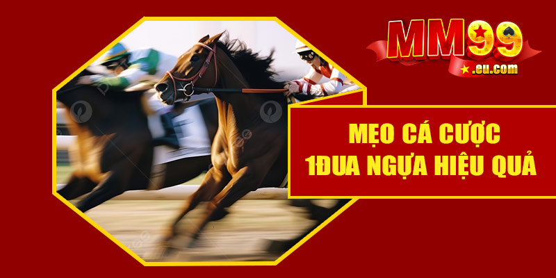 Mẹo cá cược đua ngựa hiệu quả tại MM99